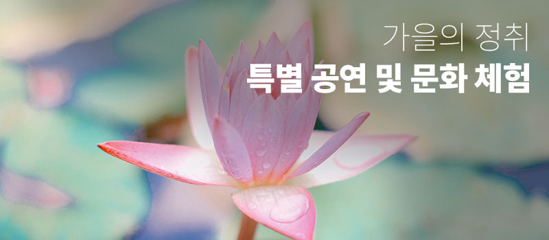 가을의 정취: 특별 공연 및 문화 체험