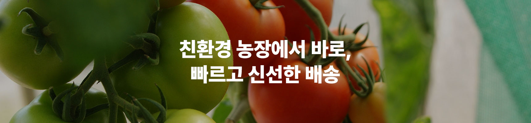 친환경 농장에서 바로, 빠르고 신선한 배송